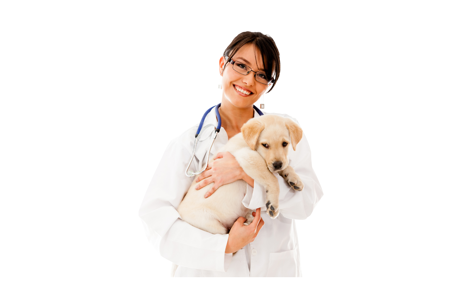 Veterinarian Holding a White Puppy