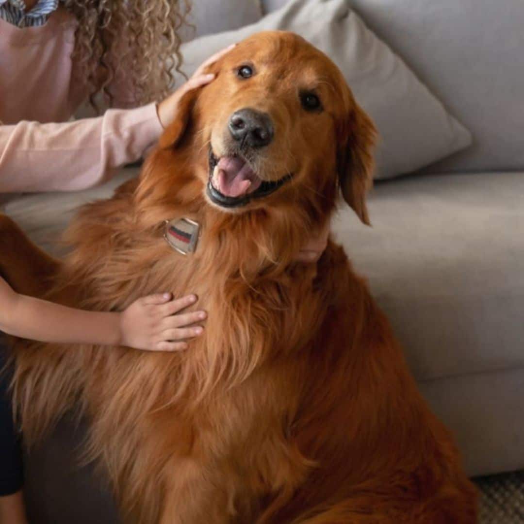 A woman and a young girl interacting with a dog